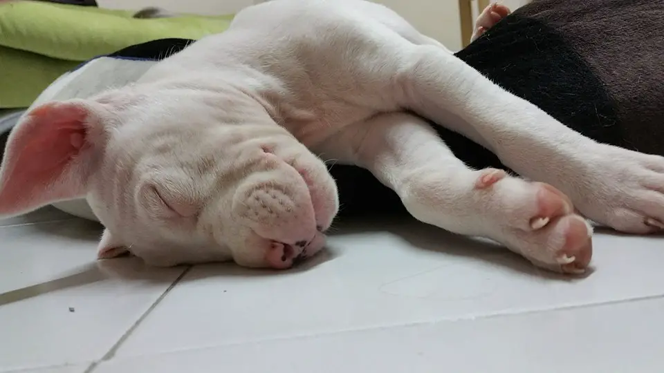 Lunaaa