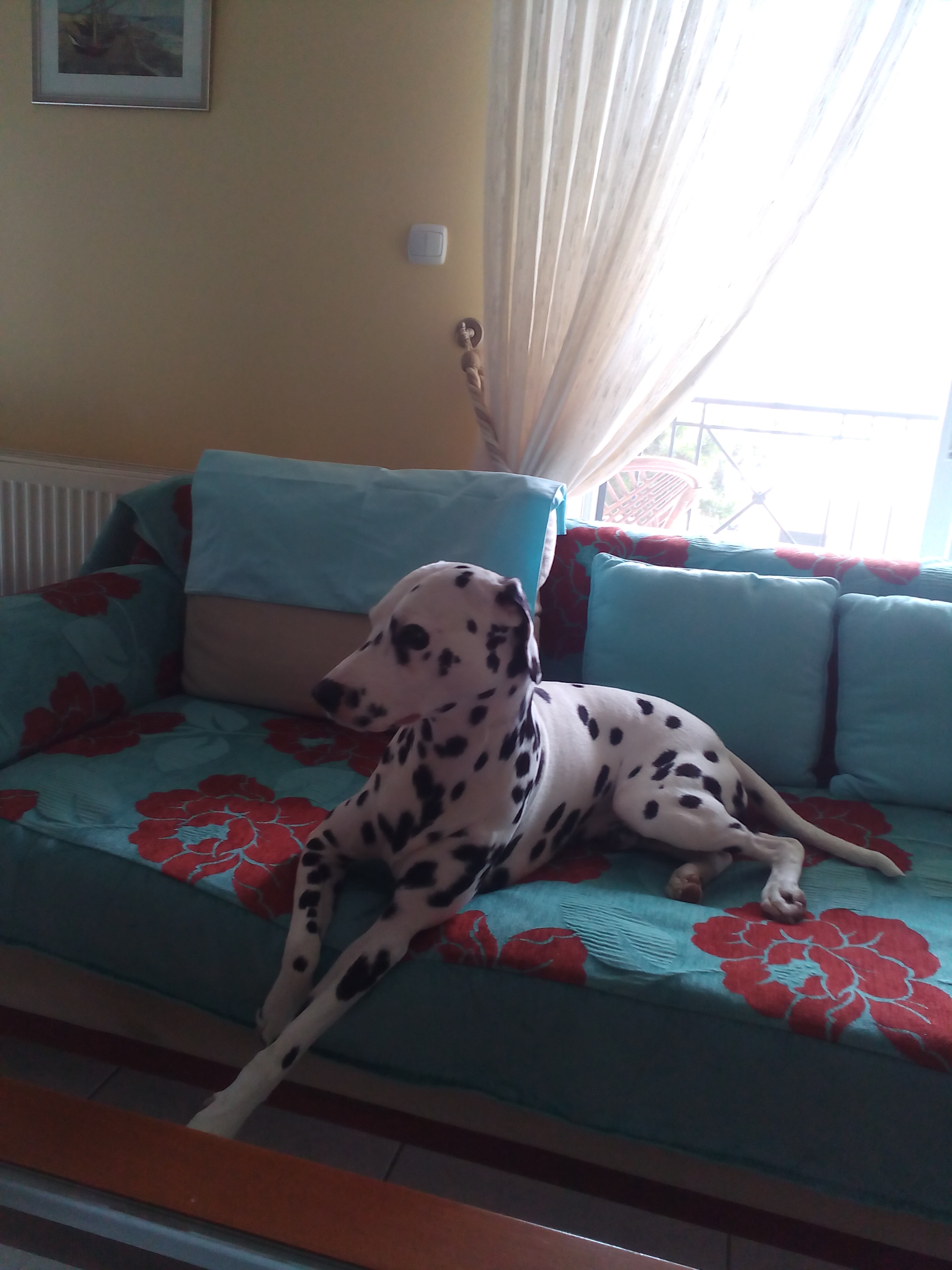 Oscar