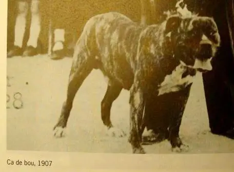 Φωτογραφία Ca de Bou του 1907
