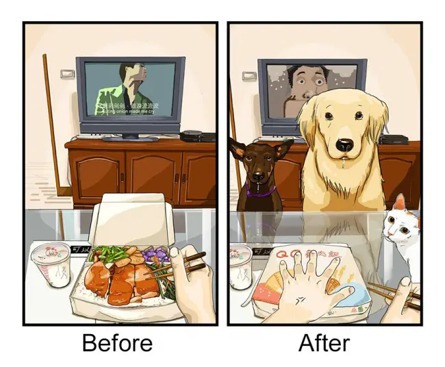 Προ σκύλου και μετά σκύλου εποχή 