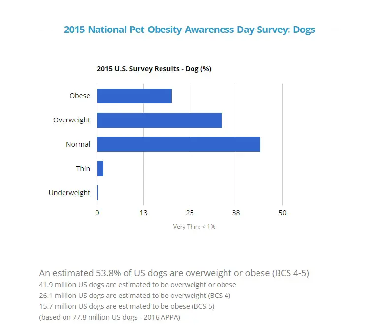2015-dog-obesity-statistics