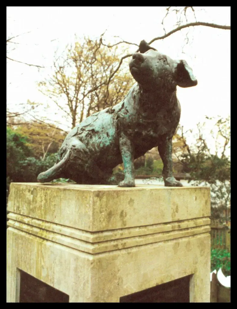Το άγαλμα του καφέ σκύλου σήμερα
